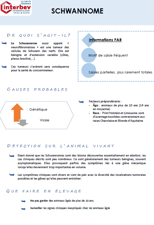 Illustration du fichier