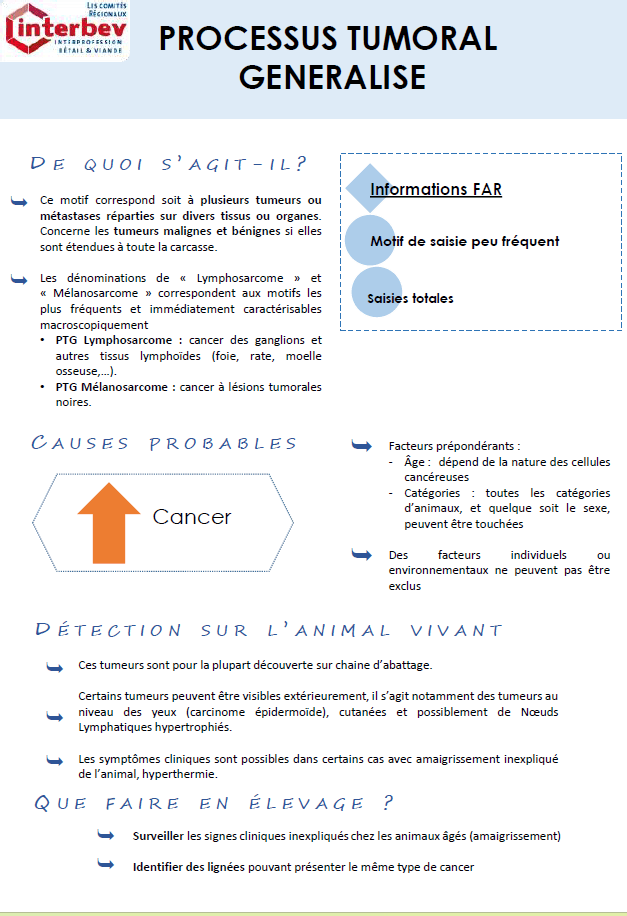 Illustration du fichier