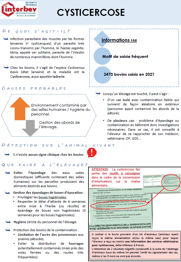 Illustration du fichier
