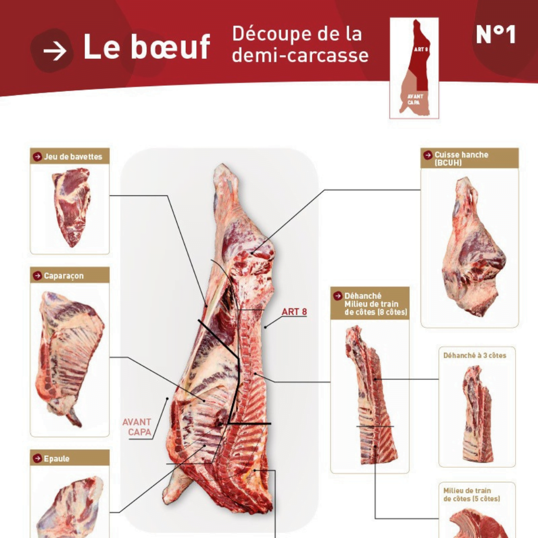 Illustration du fichier