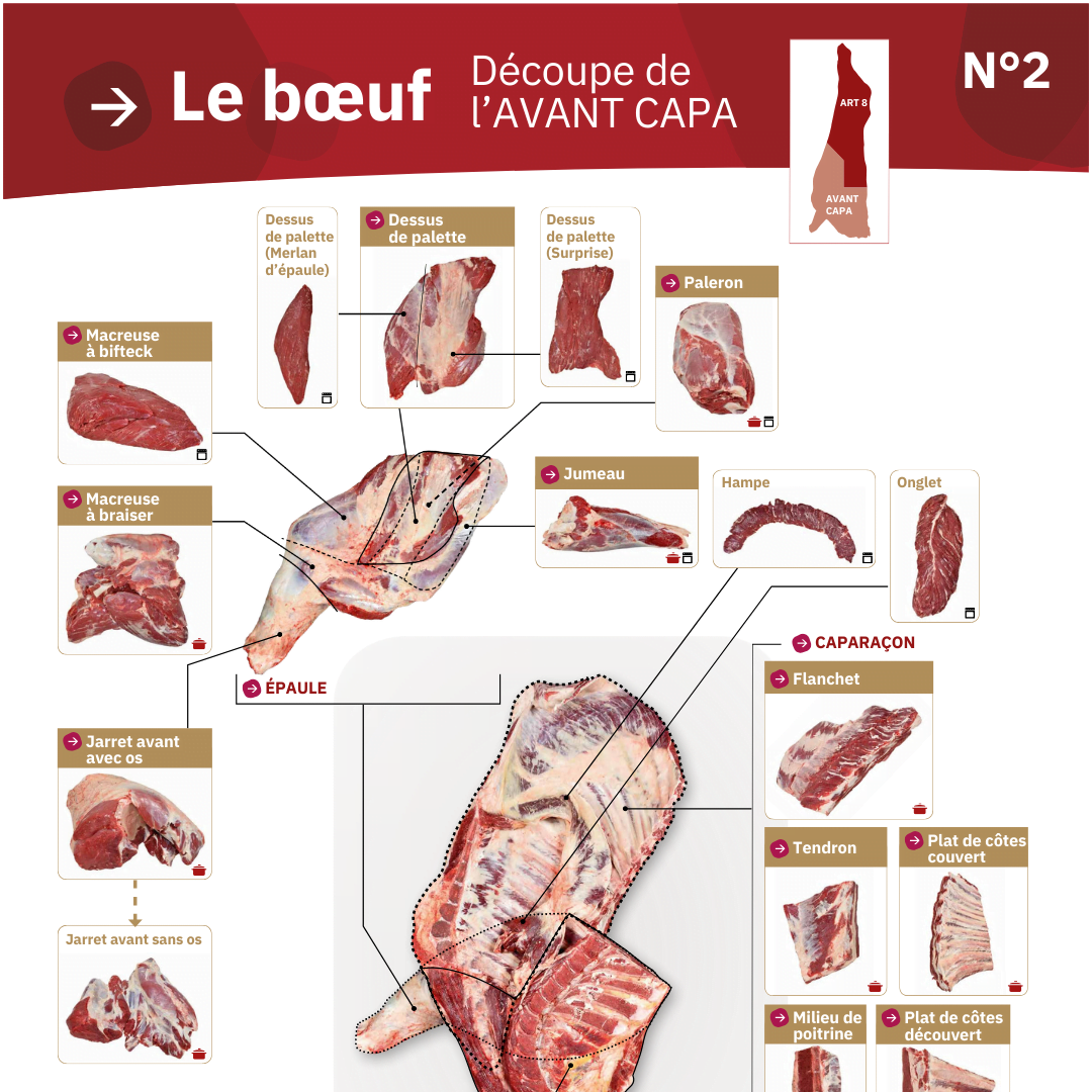 Illustration du fichier