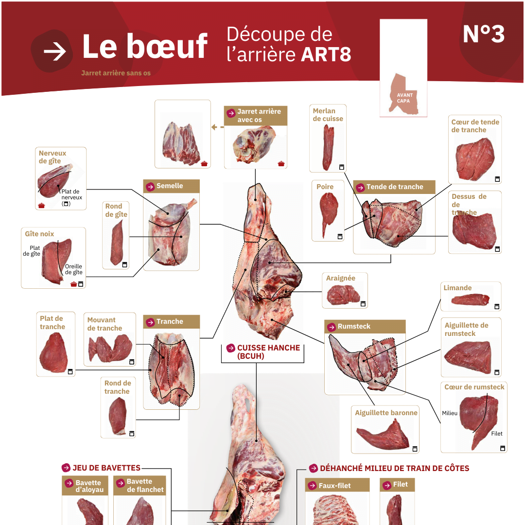 Illustration du fichier