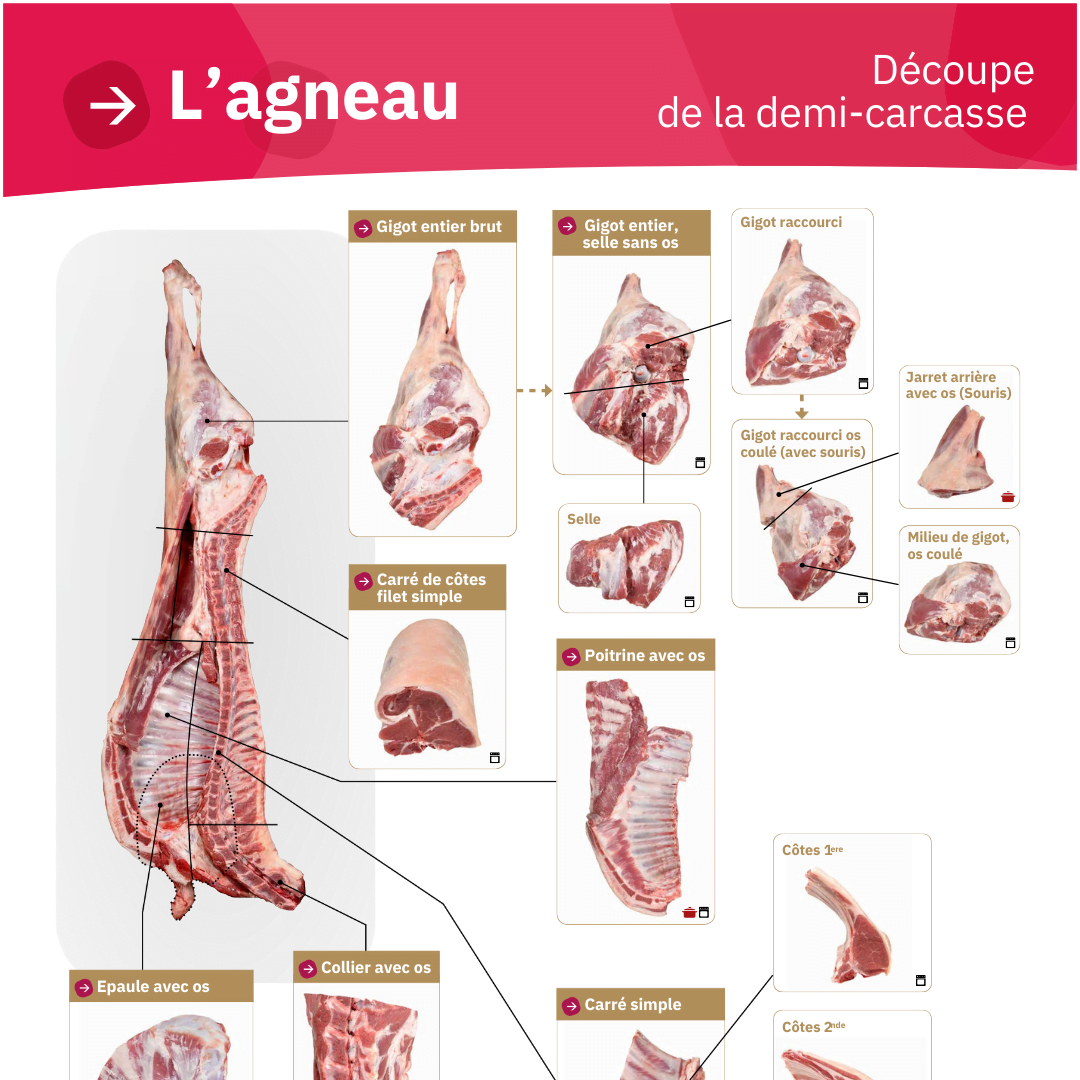 Illustration du fichier