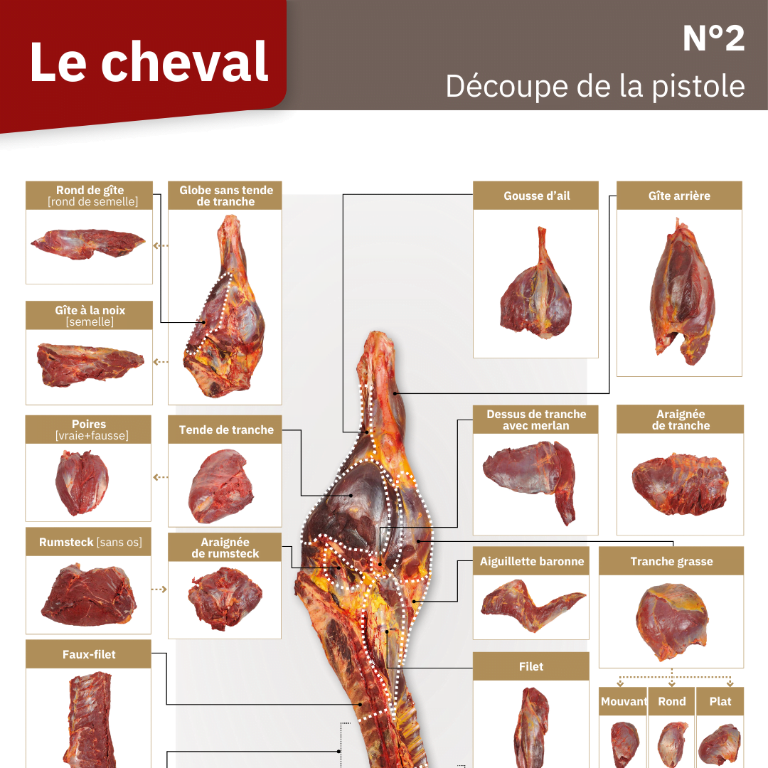 Illustration du fichier