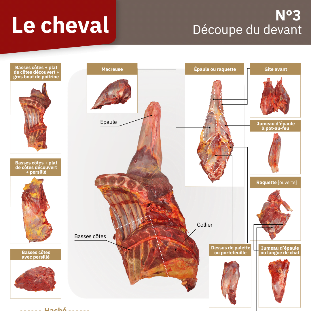 Illustration du fichier