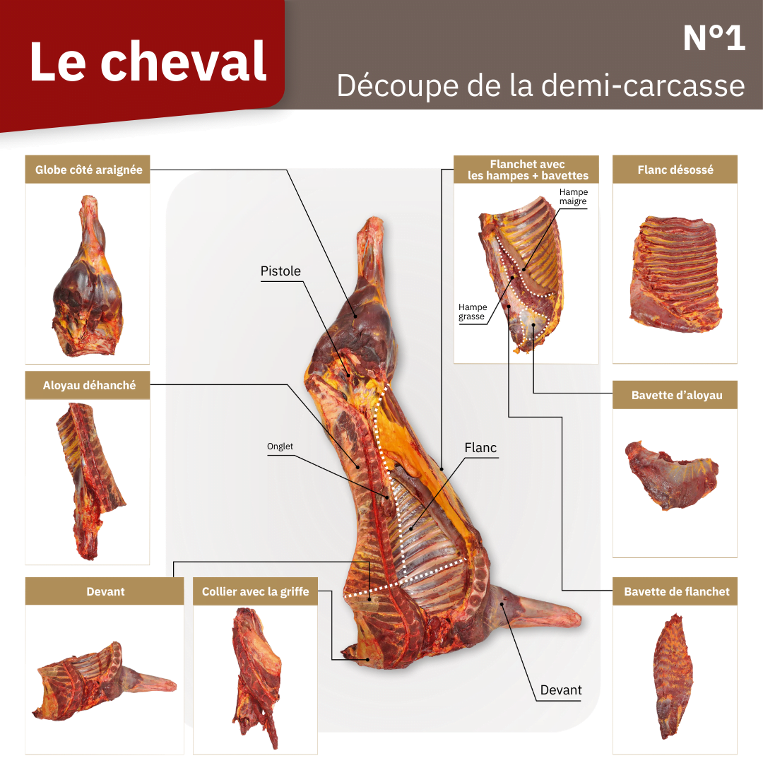 Illustration du fichier
