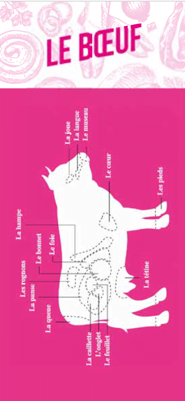Illustration du fichier