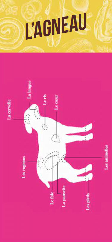 Illustration du fichier