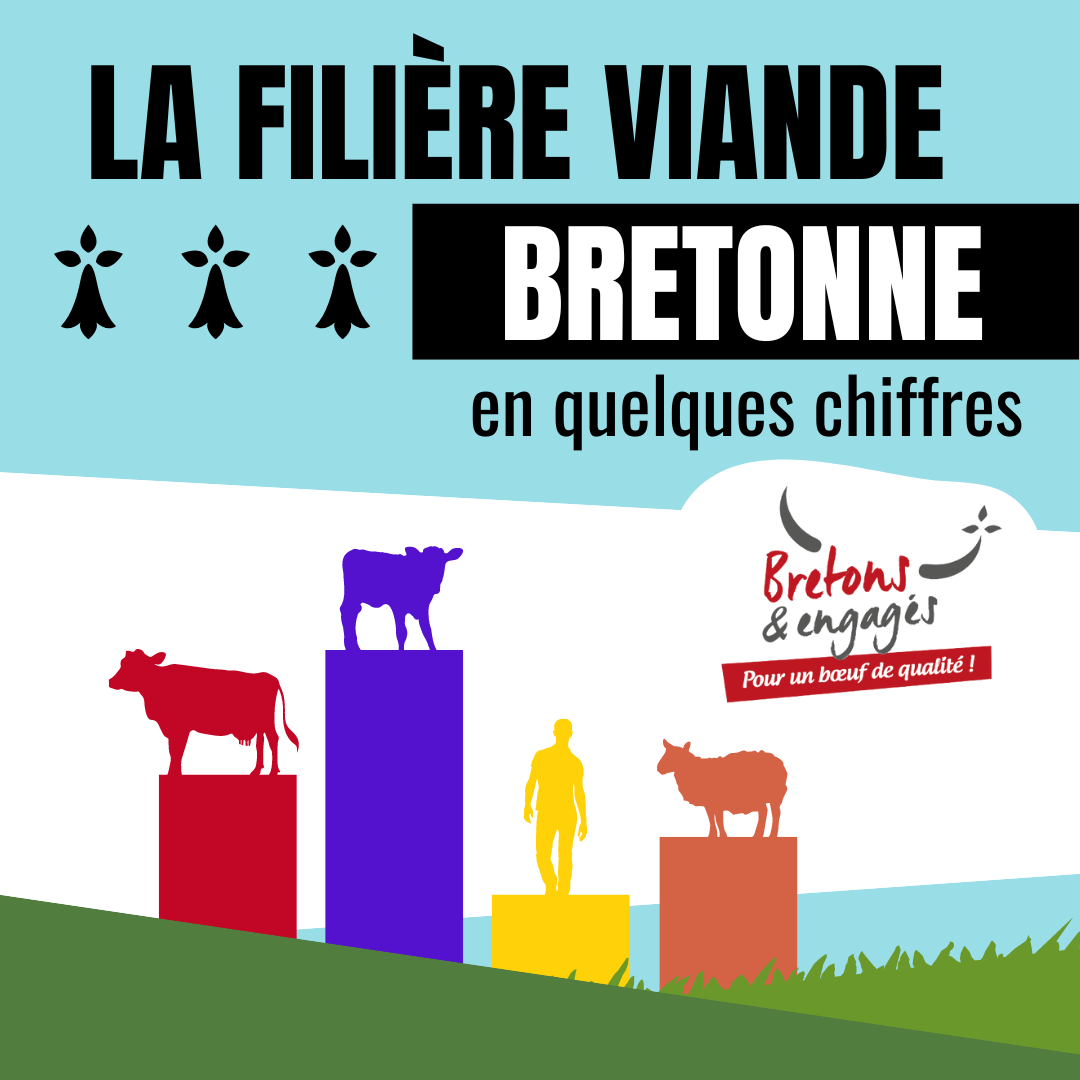 Illustration du fichier