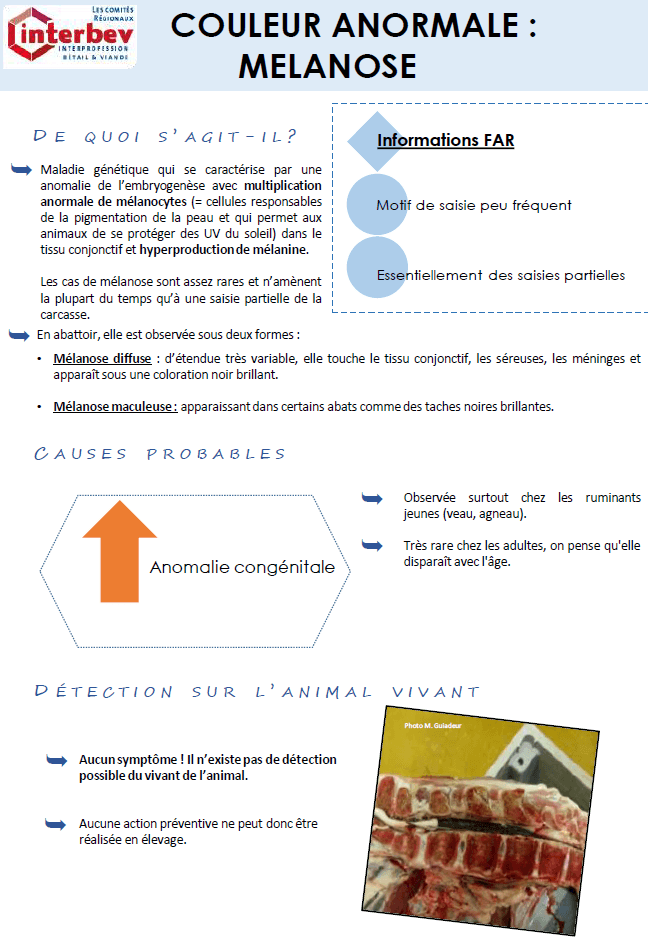 Illustration du fichier