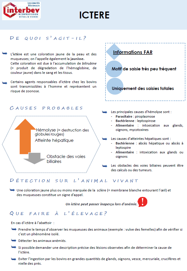 Illustration du fichier