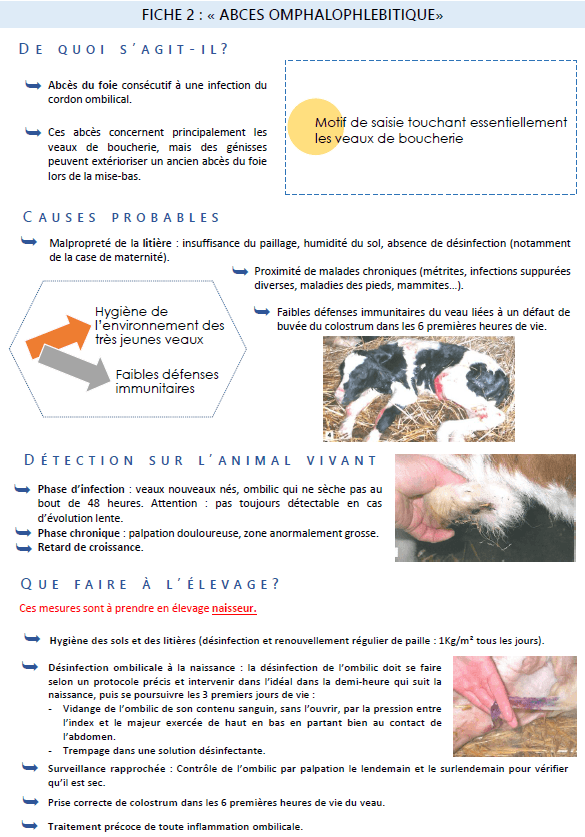 Illustration du fichier