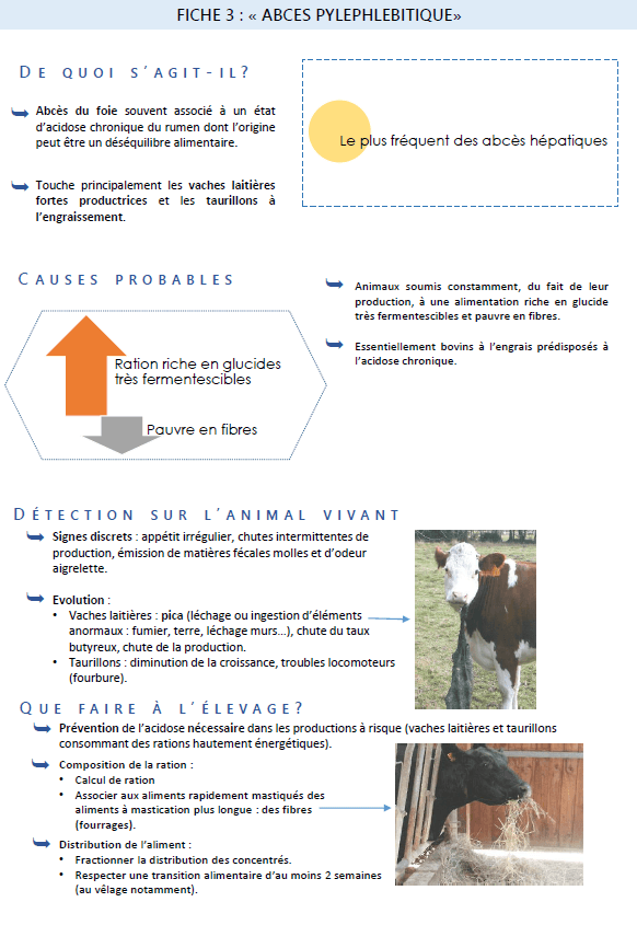 Illustration du fichier