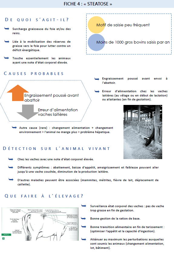Illustration du fichier