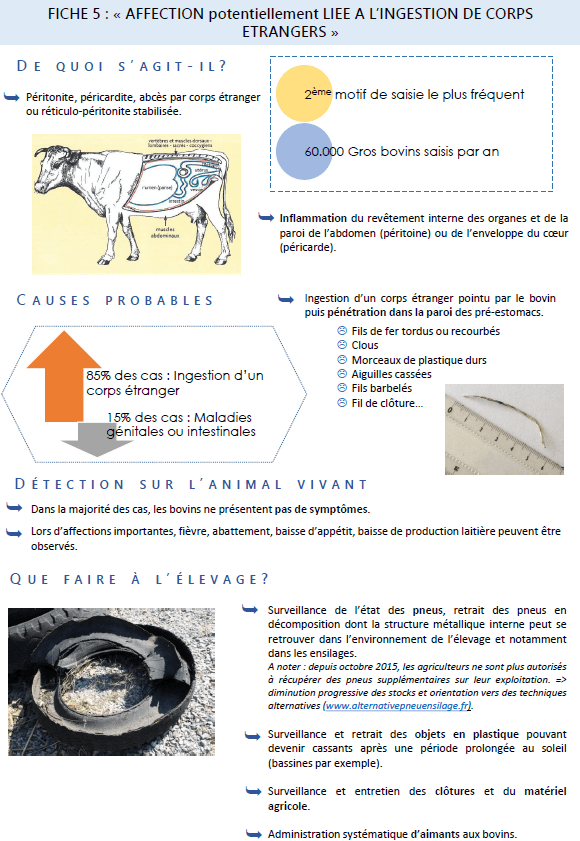 Illustration du fichier