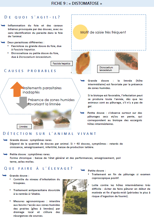 Illustration du fichier
