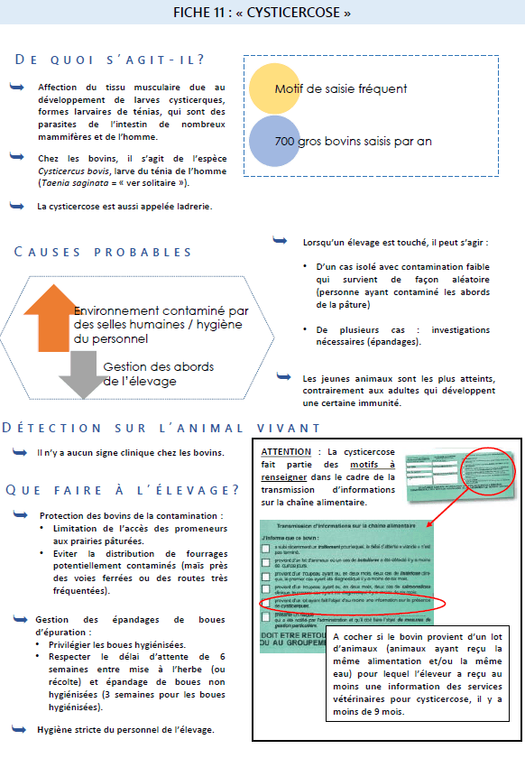 Illustration du fichier