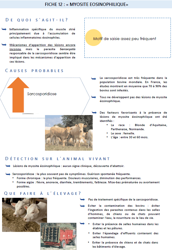 Illustration du fichier