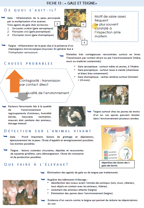 Illustration du fichier