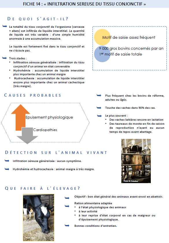 Illustration du fichier