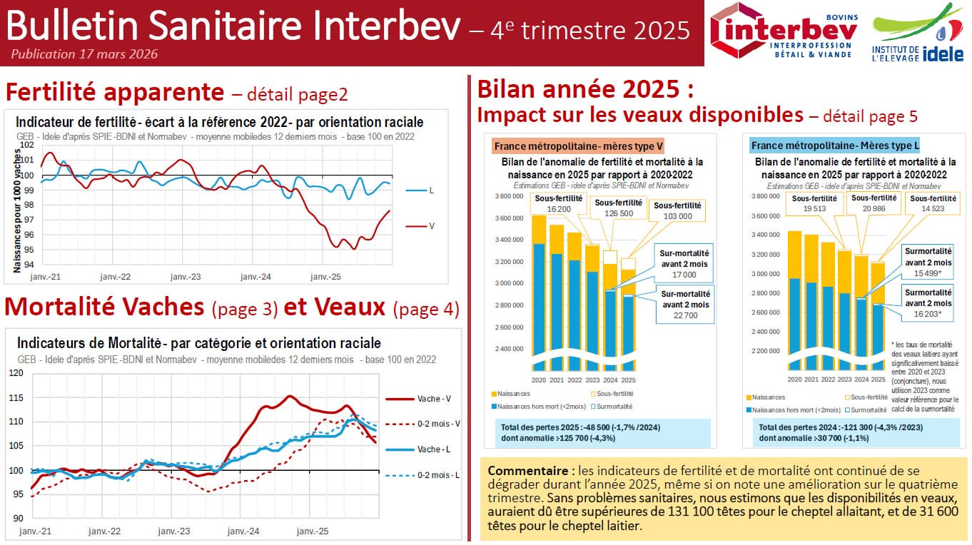 Illustration du fichier